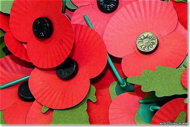 Poppies_6x4