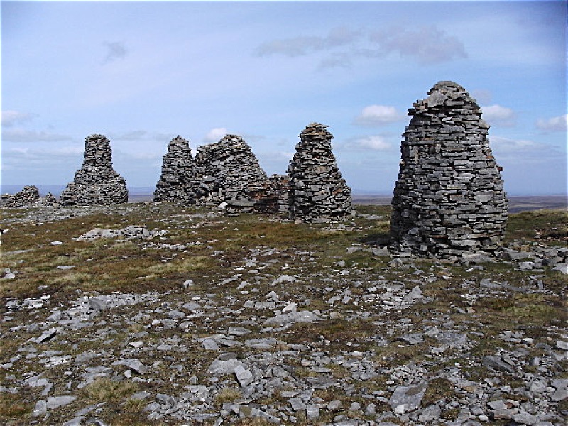 Stacks Image 6102