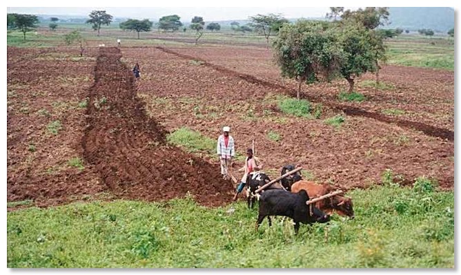 Farming_72x42s