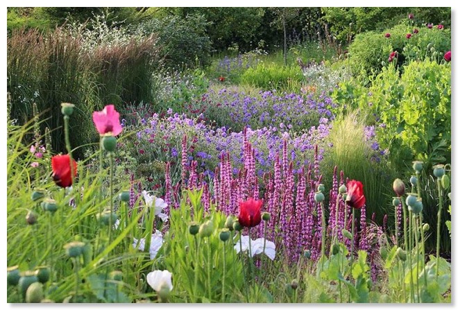 Garden_800s